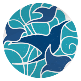 msapplication-TileImage